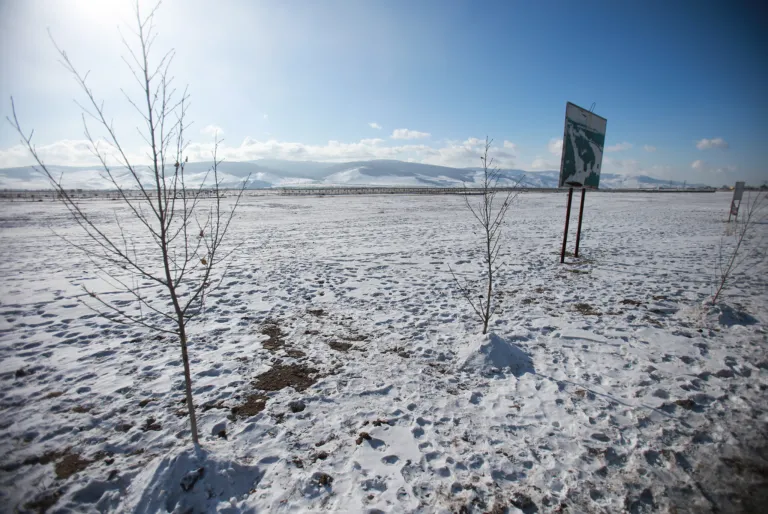 цэцэрлэгт хүрээлэн