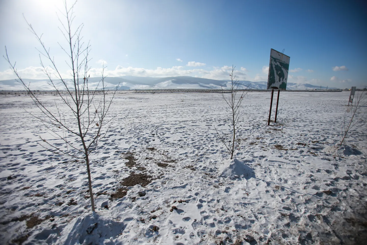 цэцэрлэгт хүрээлэн