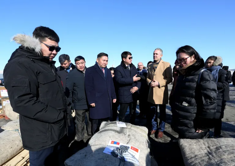 Турк хандив