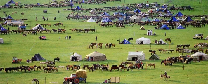 Сумы наадам