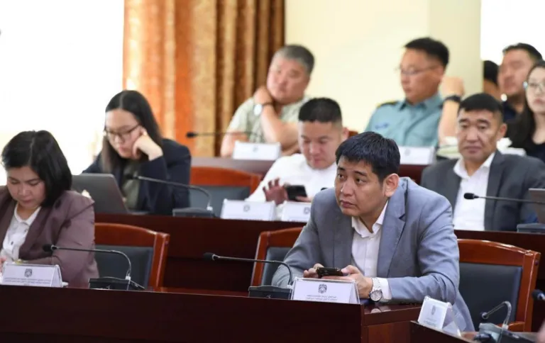 нийслэлийн шуурхай