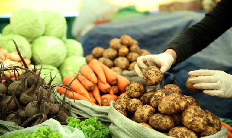 хүнсний ногоо