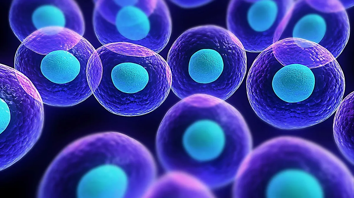 Н.Ариун: Үүдэл эсээс зүрх, элгийг хүртэл ургуулах боломжтой